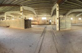 Complex Industrial (2 Hale + Birouri) pe 7.000 mp teren, Gheghie, jud. Bihor