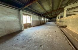Complex Industrial (2 Hale + Birouri) pe 7.000 mp teren, Gheghie, jud. Bihor