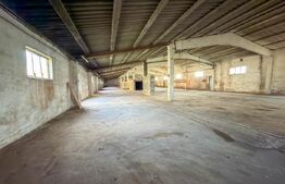 Complex Industrial (2 Hale + Birouri) pe 7.000 mp teren, Gheghie, jud. Bihor