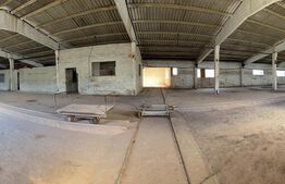 Complex Industrial (2 Hale + Birouri) pe 7.000 mp teren, Gheghie, jud. Bihor