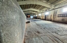 Complex Industrial (2 Hale + Birouri) pe 7.000 mp teren, Gheghie, jud. Bihor