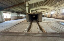 Complex Industrial (2 Hale + Birouri) pe 7.000 mp teren, Gheghie, jud. Bihor