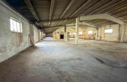 Complex Industrial (2 Hale + Birouri) pe 7.000 mp teren, Gheghie, jud. Bihor
