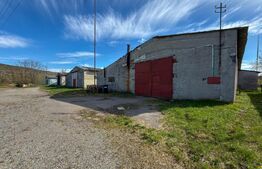 Complex Industrial (2 Hale + Birouri) pe 7.000 mp teren, Gheghie, jud. Bihor