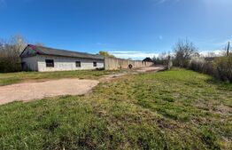 Complex Industrial (2 Hale + Birouri) pe 7.000 mp teren, Gheghie, jud. Bihor