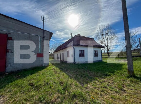 Spațiu industrial de vânzare Aleşd - 193182SVI | BLITZ Oradea | Poza2