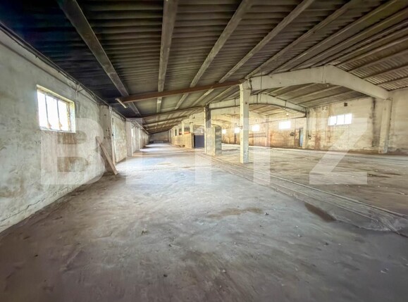Spațiu industrial de vânzare Aleşd - 193182SVI | BLITZ Oradea | Poza10