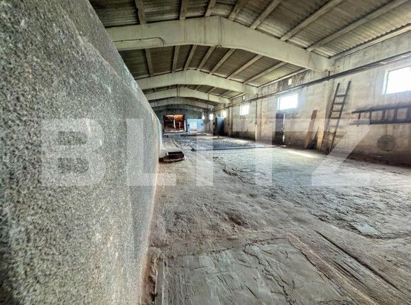Spațiu industrial de vânzare Aleşd - 193182SVI | BLITZ Oradea | Poza24