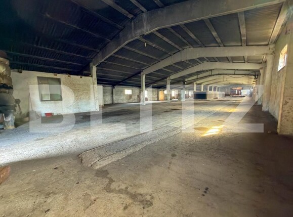 Spațiu industrial de vânzare Aleşd - 193182SVI | BLITZ Oradea | Poza9