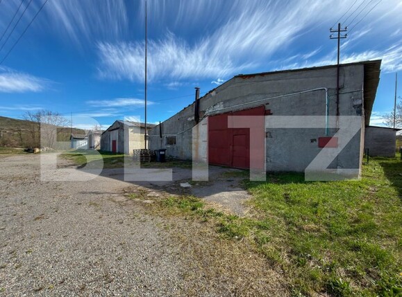 Spațiu industrial de vânzare Aleşd - 193182SVI | BLITZ Oradea | Poza3