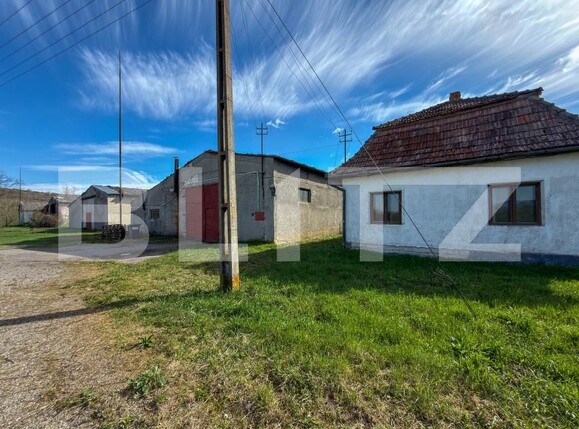 Spațiu industrial de vânzare Aleşd - 193182SVI | BLITZ Oradea | Poza1