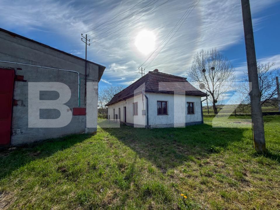 Spațiu industrial de vânzare Aleşd - 193182SVI | BLITZ Oradea | Poza2