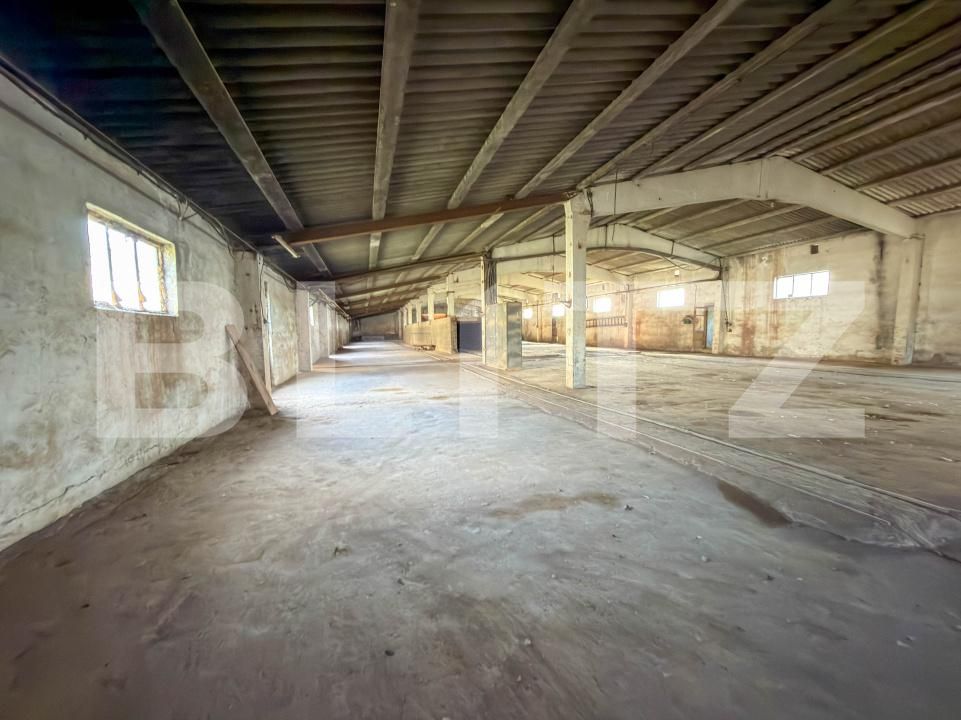 Spațiu industrial de vânzare Aleşd - 193182SVI | BLITZ Oradea | Poza10