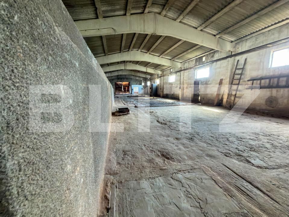Spațiu industrial de vânzare Aleşd - 193182SVI | BLITZ Oradea | Poza24