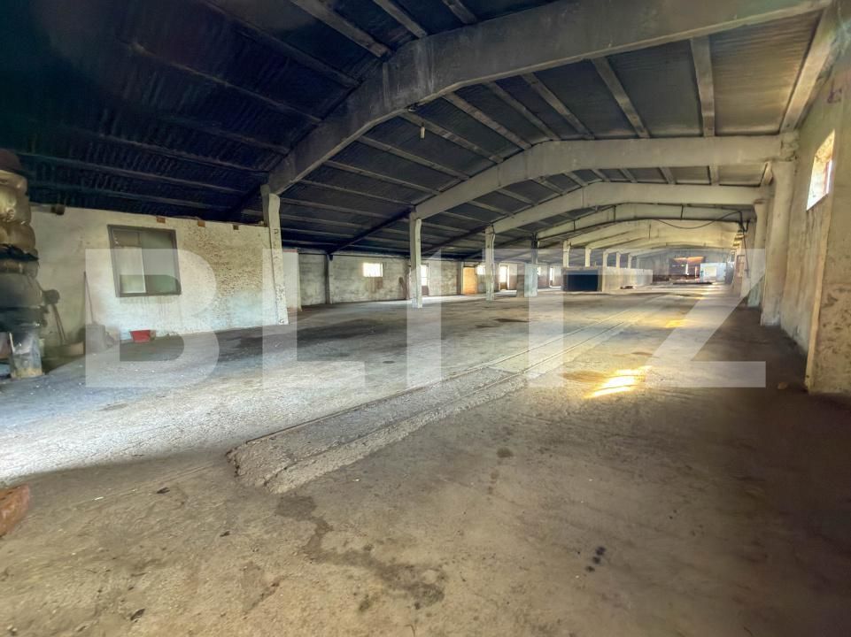 Spațiu industrial de vânzare Aleşd - 193182SVI | BLITZ Oradea | Poza9