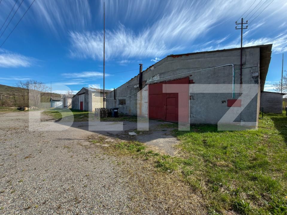Spațiu industrial de vânzare Aleşd - 193182SVI | BLITZ Oradea | Poza3