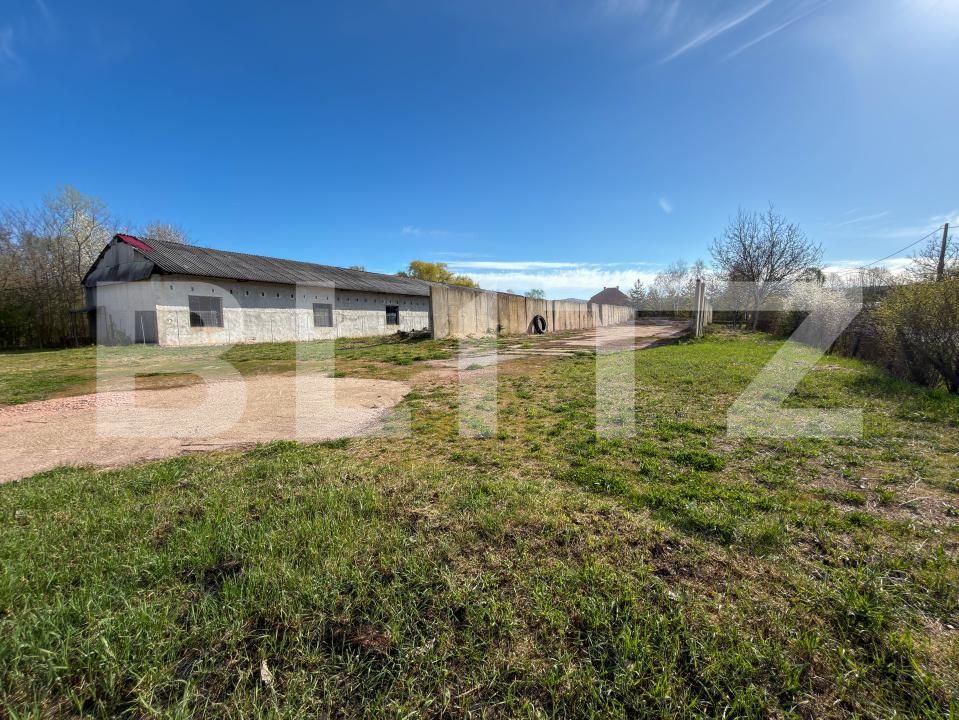 Spațiu industrial de vânzare Aleşd - 193182SVI | BLITZ Oradea | Poza7