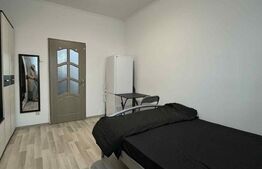 Garsonieră renovată, etaj 1, Iosia 
