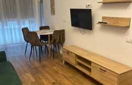 Apartament 2 camere, 48 mp utili, zona Universității, mobilat și utilat
