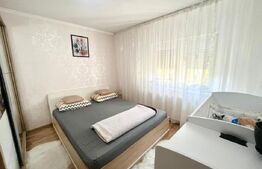 Apartament decomandat, complet renovat - Nufarul 