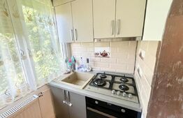 Apartament decomandat, complet renovat - Nufarul 