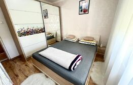 Apartament decomandat, complet renovat - Nufarul 
