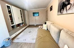 Apartament decomandat, complet renovat - Nufarul 