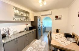 Apartament decomandat, complet renovat - Nufarul 