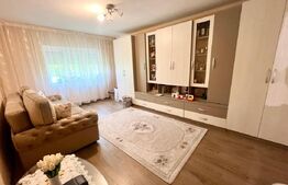 Apartament decomandat, complet renovat - Nufarul 