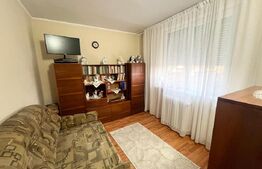 Apartament de vamzare zona - Velenta 