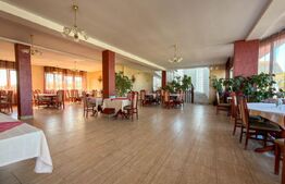 Afacere la cheie: Pensiune 3 stele, 60 locuri si restaurant utilat