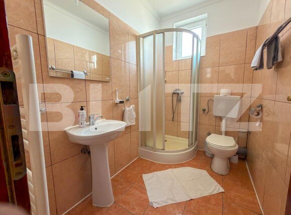 Spațiu comercial de închiriat Sanmartin - 193868SIC | BLITZ Oradea | Poza17