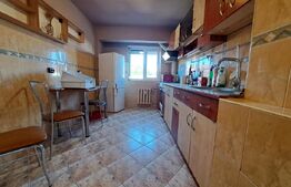 Apartament cu 4 camere, langa parcul Olosig