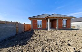 Casa rosu Osorhei | 553 mp | dublu front | potential mare