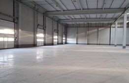 Hală Industrială + Birouri Clasa A + Teren 22.343 mp