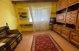 Apartament cu ocamera, 25 mp,