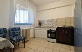 Apartament cu 2 camere complet mobilat în Decebal, bucătărie separată