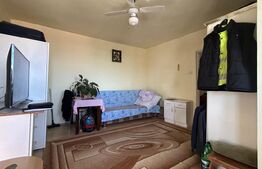 Apartament cu o camera , 30 mp util, Nufărul