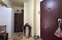 Apartament cu o camera , 30 mp util, Nufărul