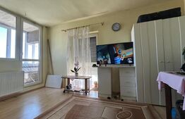 Apartament cu o camera , 30 mp util, Nufărul