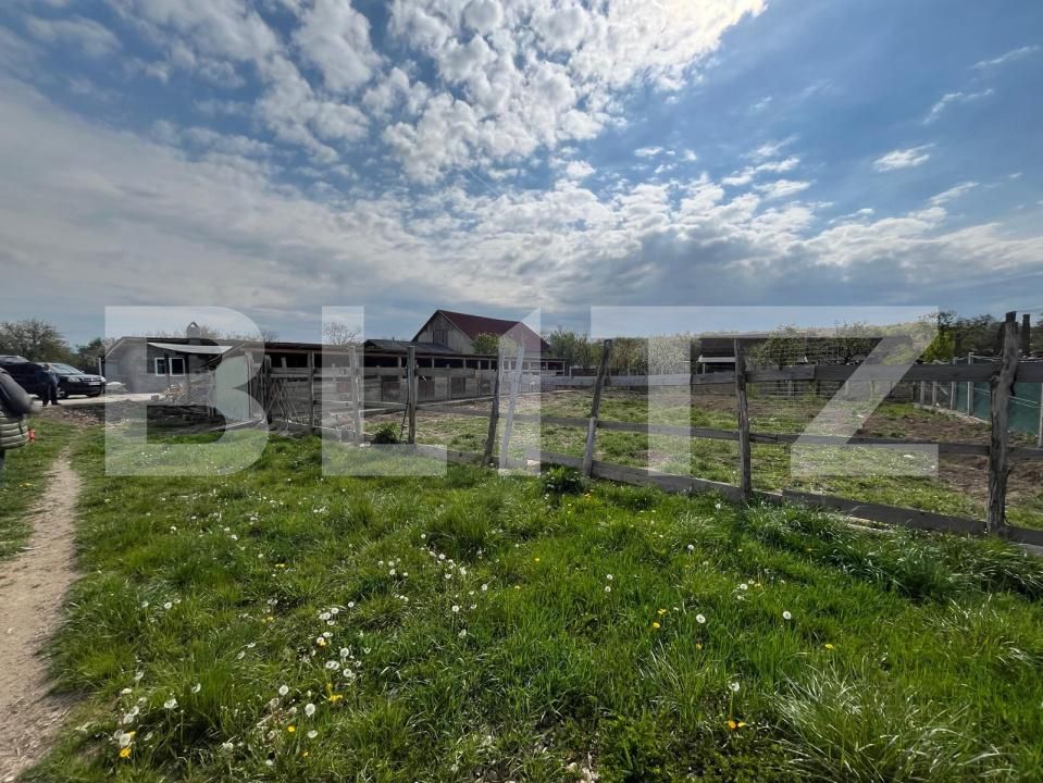 Spațiu industrial de vânzare Sud - 194376SVI | BLITZ Oradea | Poza6