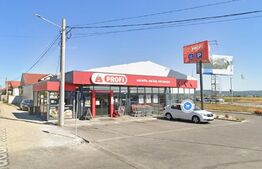 Centru Comercial Sânmartin Florilor