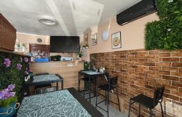 Spatiu comercial, 30 mp, la cheie, alimentatie publica - Nufarul