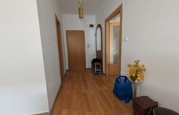 Chirie apartament cu o cameră, zonă Velența