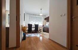 Chirie apartament cu o cameră, zonă Velența