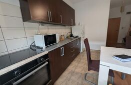 Chirie apartament cu o cameră, zonă Velența