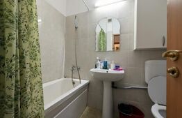 Chirie apartament cu o cameră, zonă Velența
