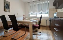 Chirie apartament cu o cameră, zonă Velența