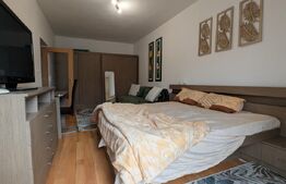 Chirie apartament cu o cameră, zonă Velența