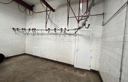 Ferma de bovine - oportunitate pentru investitori sau fermieri profesionisti